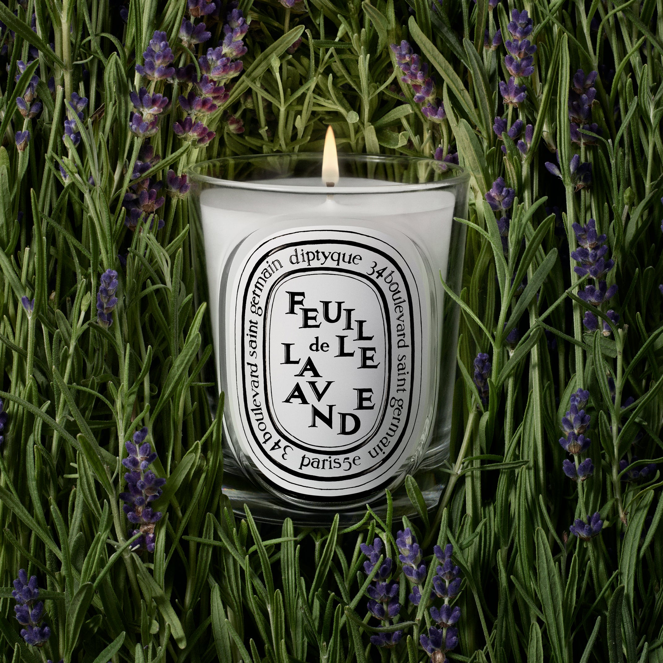 Diptyque Feuille de Lavande Candle - Thumbnail 4