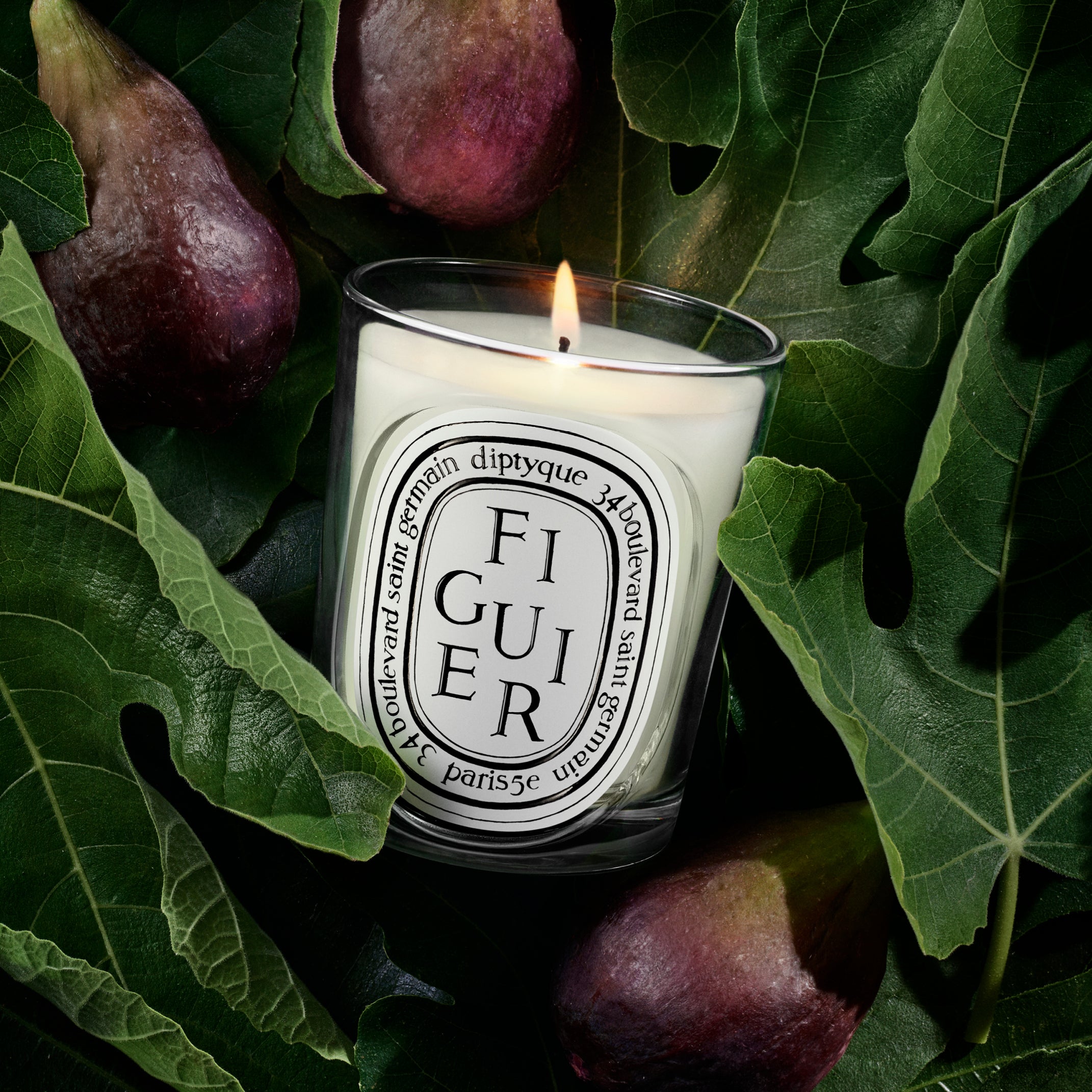 Diptyque - Figuier (Fig) Candle | Candle Delirium