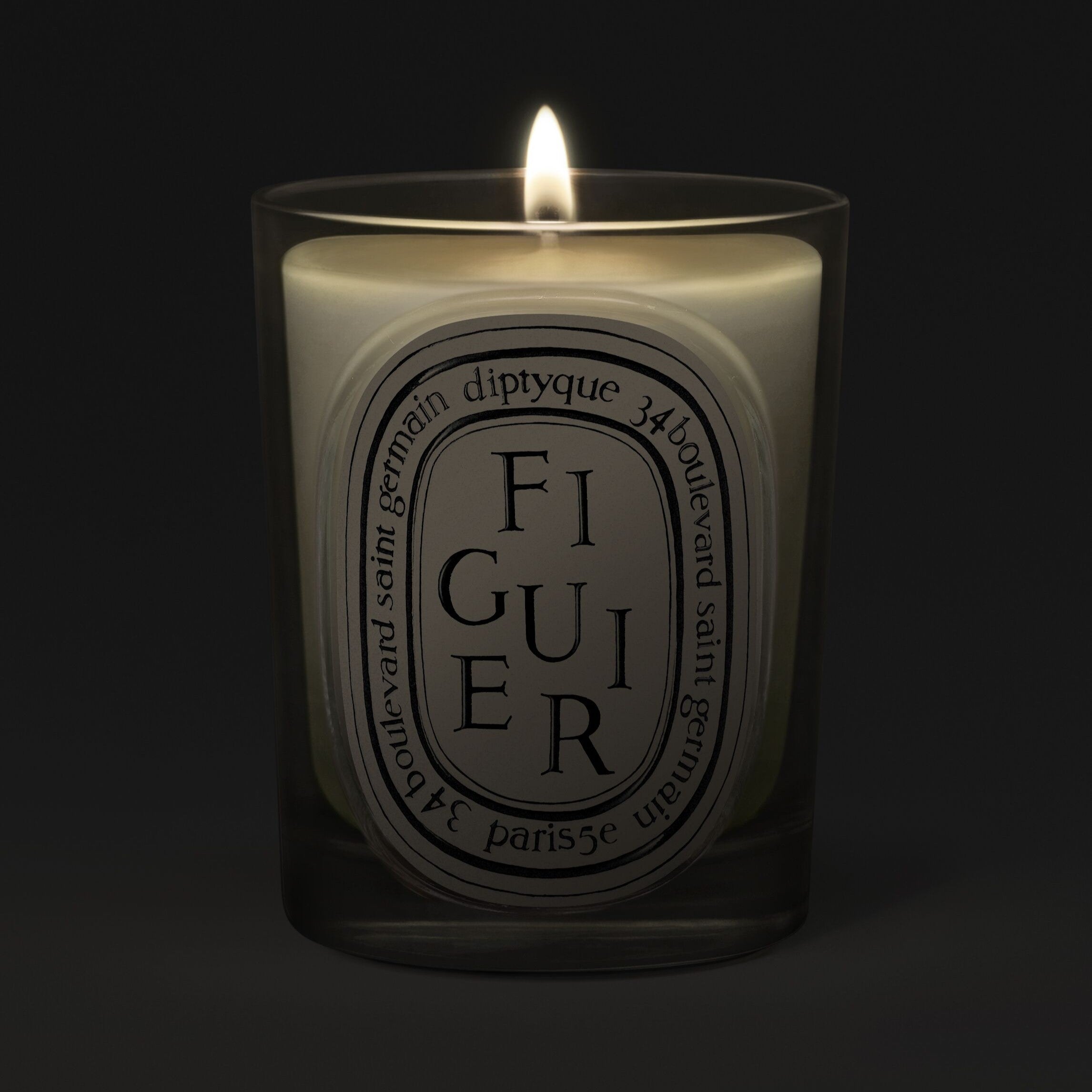 Diptyque - Figuier (Fig) Candle | Candle Delirium