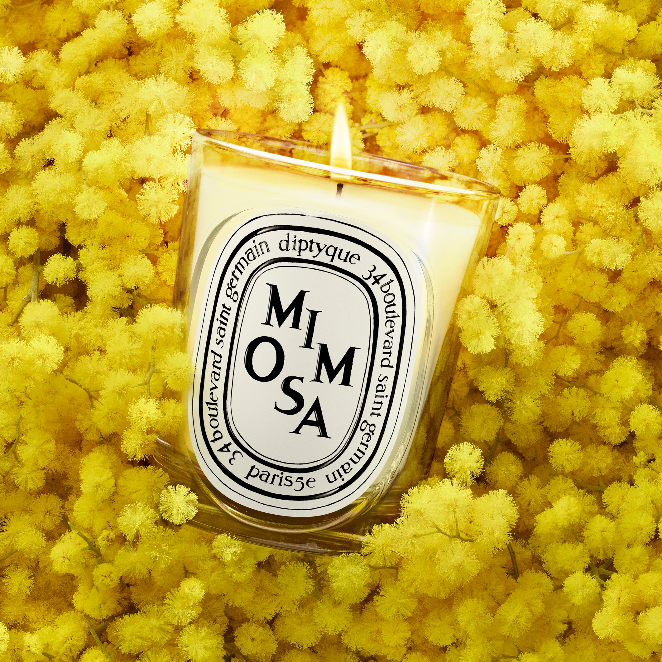 Diptyque - Mimosa Candle