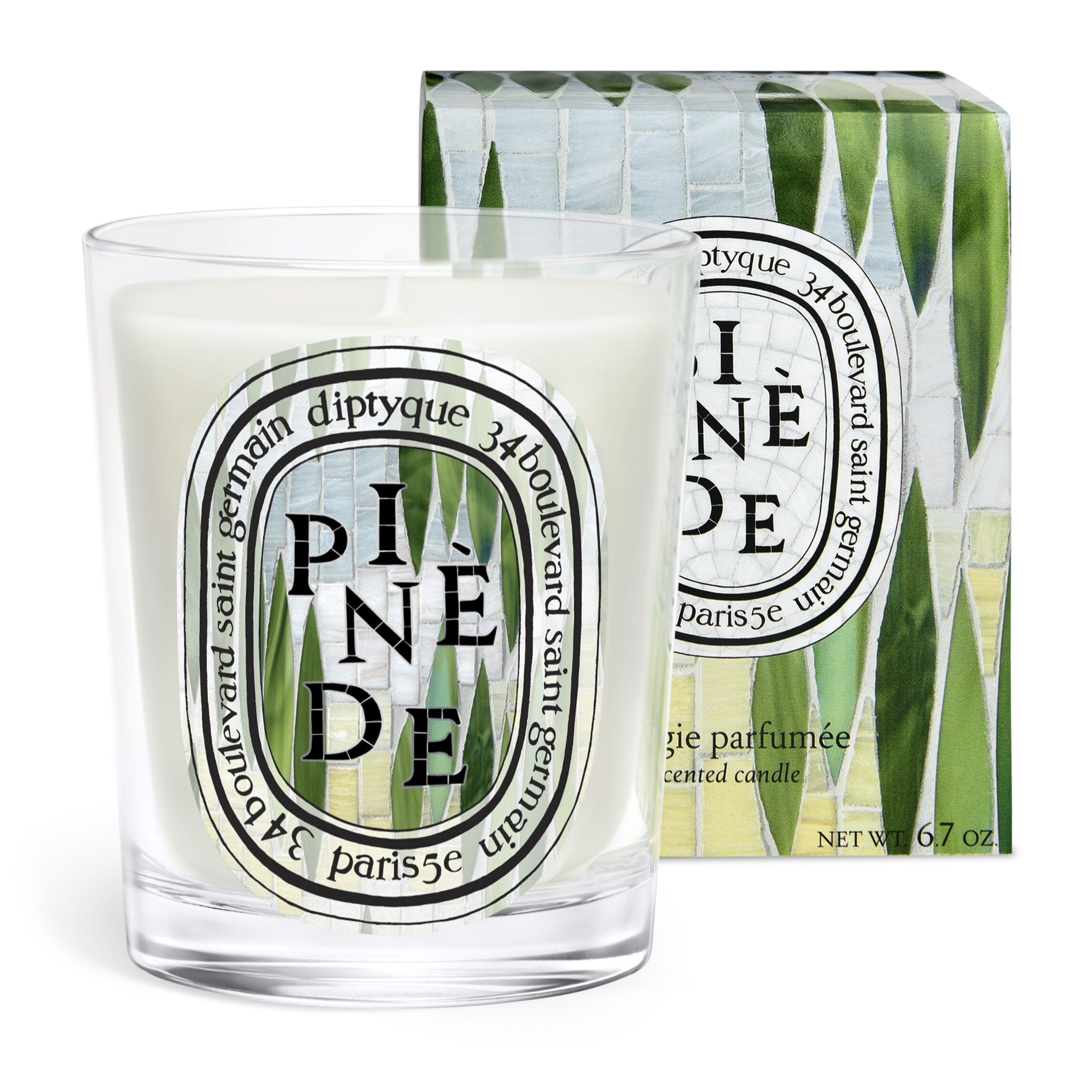 Diptyque - Pinede Candle (Pine Grove) | Candle Delirium