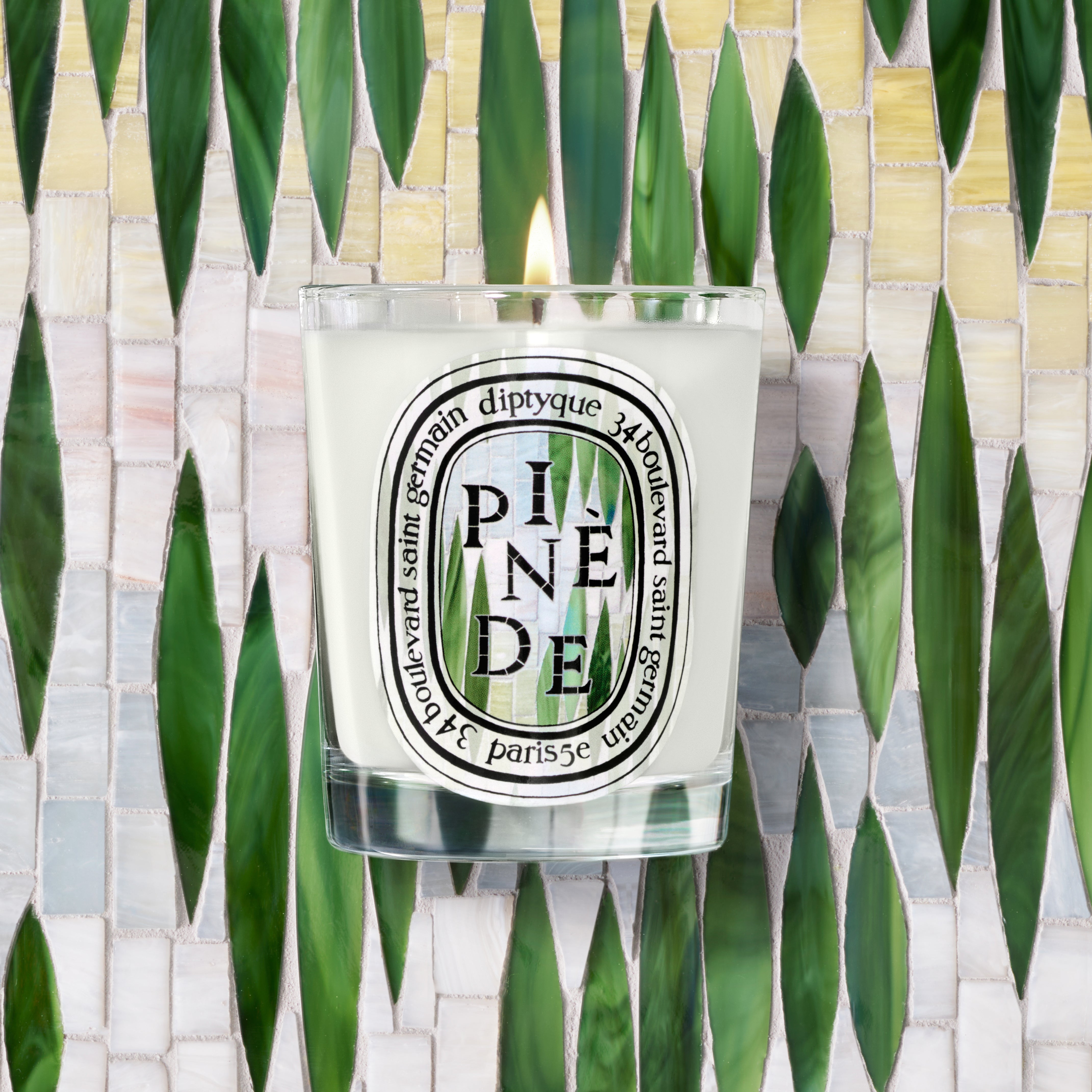 Diptyque - Pinede Candle (Pine Grove) | Candle Delirium