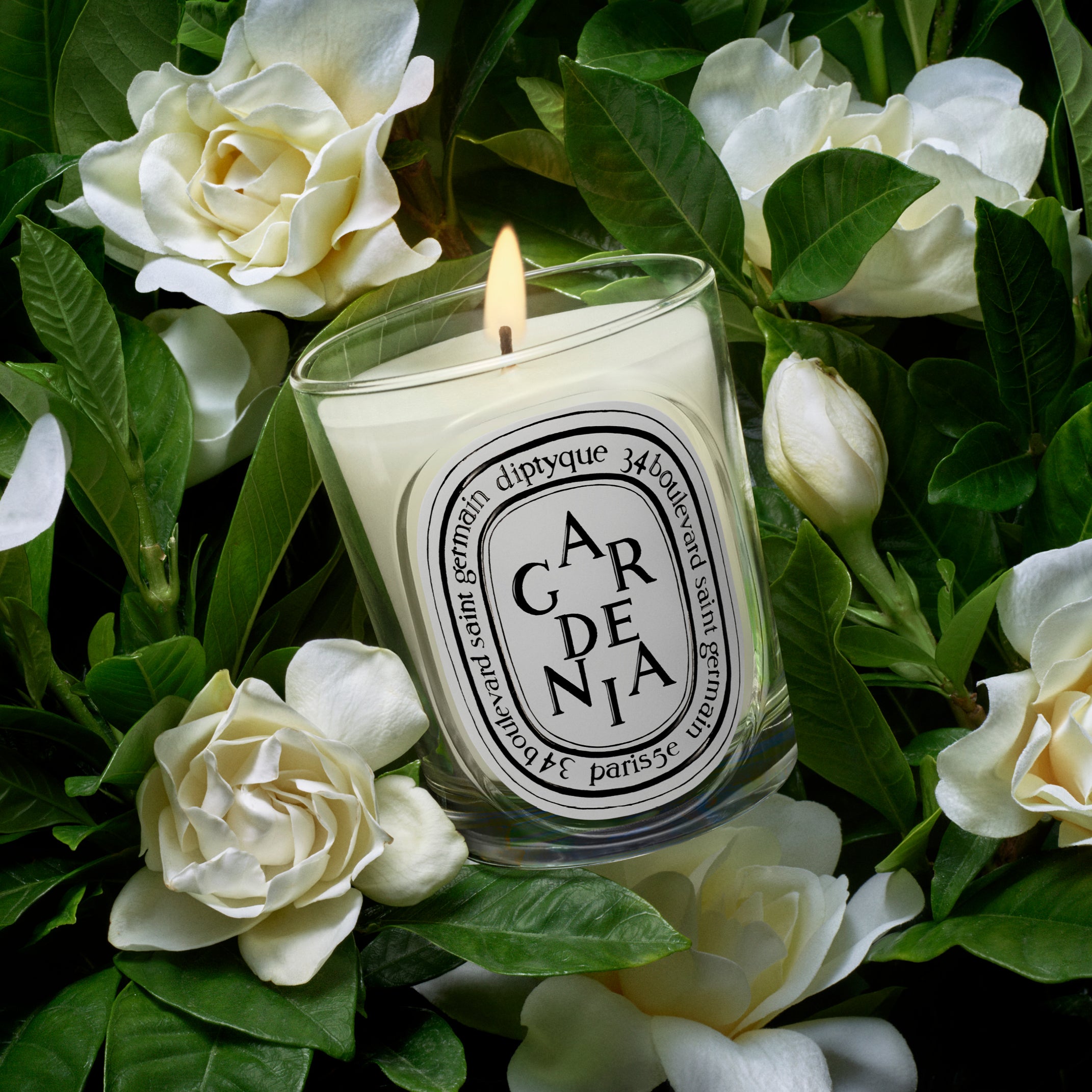 Diptyque - Gardenia Candle | Candle Delirium