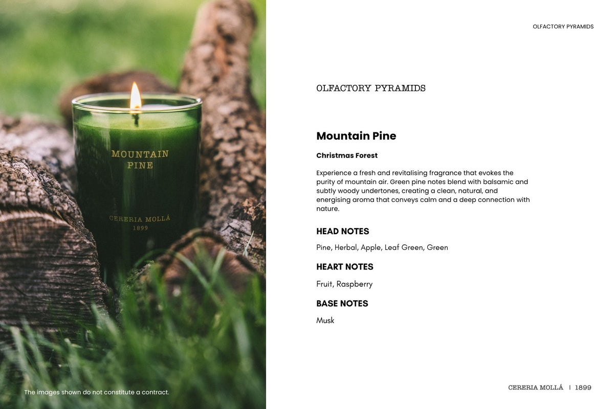 Cereria Molla - Mountain Pine Diffuser