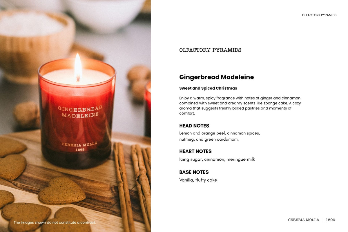 Cereria Molla - Gingerbread Madeleine 4 Wick Candle