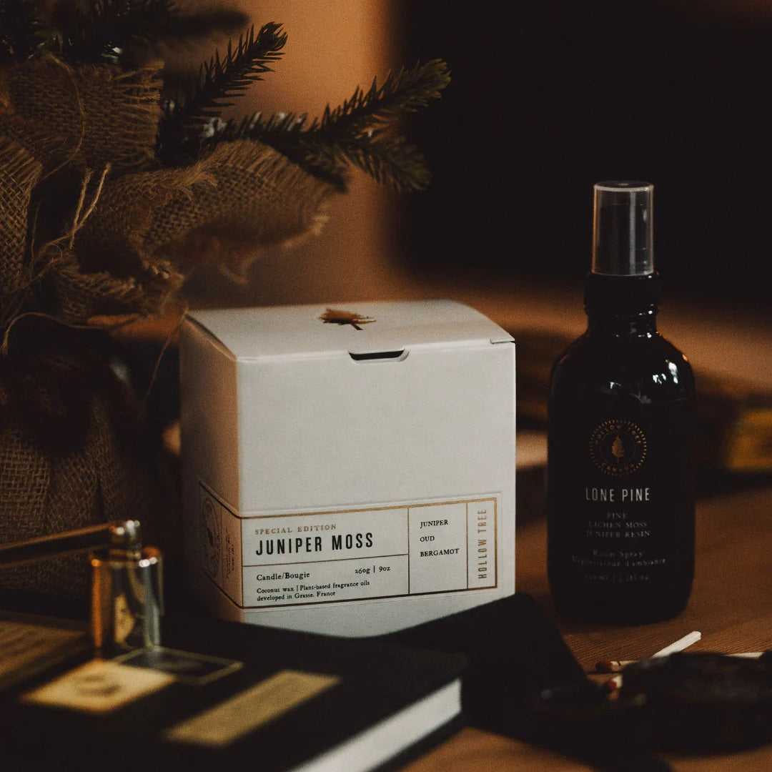 Hollow Tree - Juniper Moss Candle