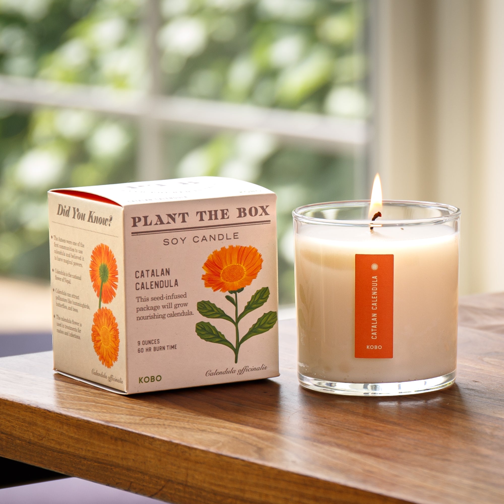 Kobo - Plant the Box Catalan Calendula Candle
