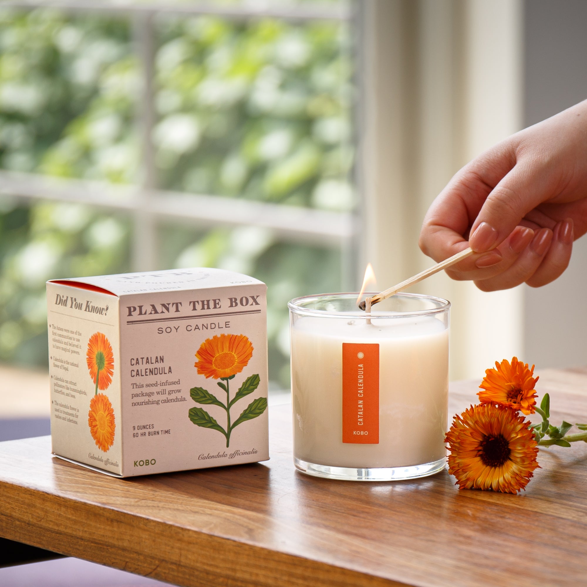 Kobo - Plant the Box Catalan Calendula Candle