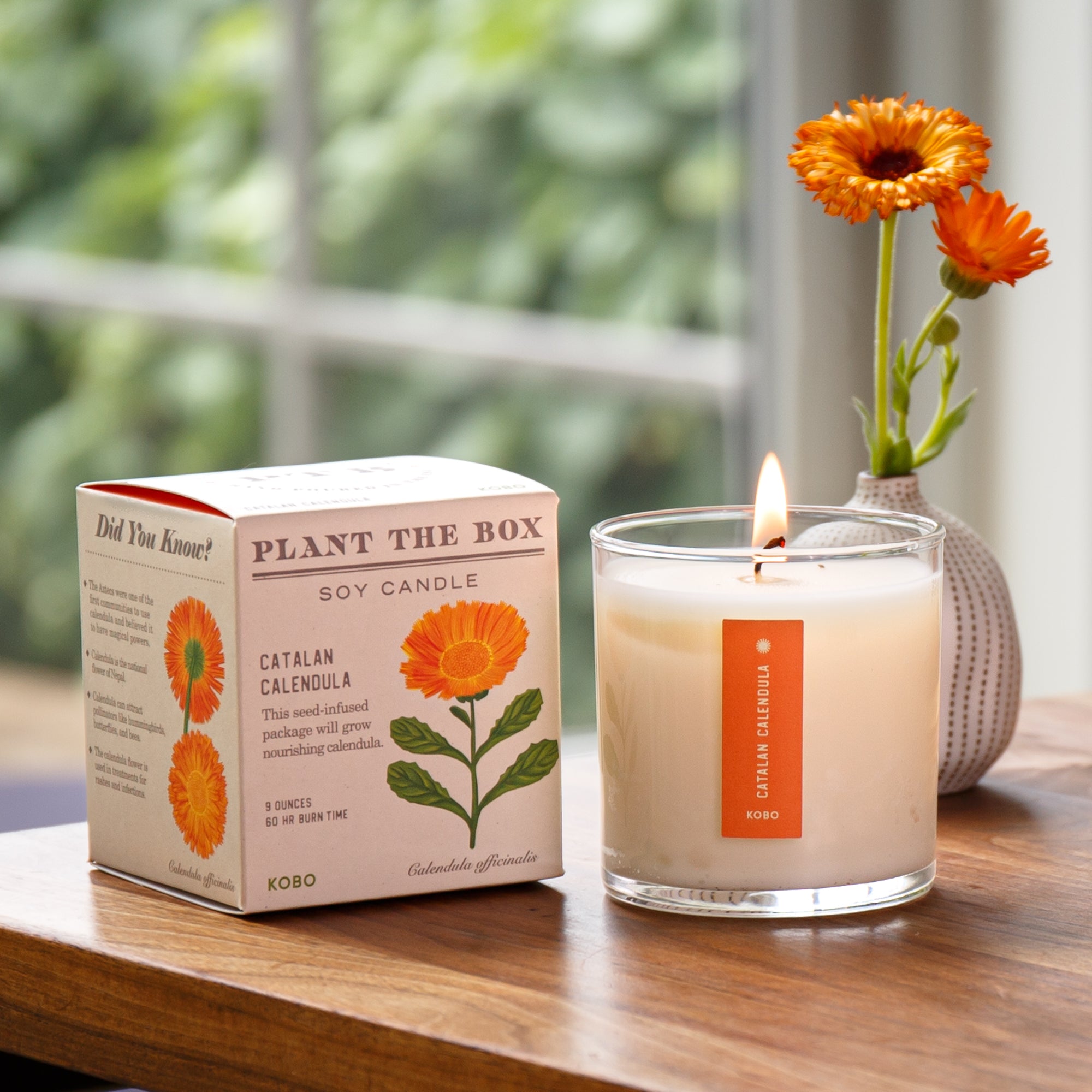 Kobo - Plant the Box Catalan Calendula Candle