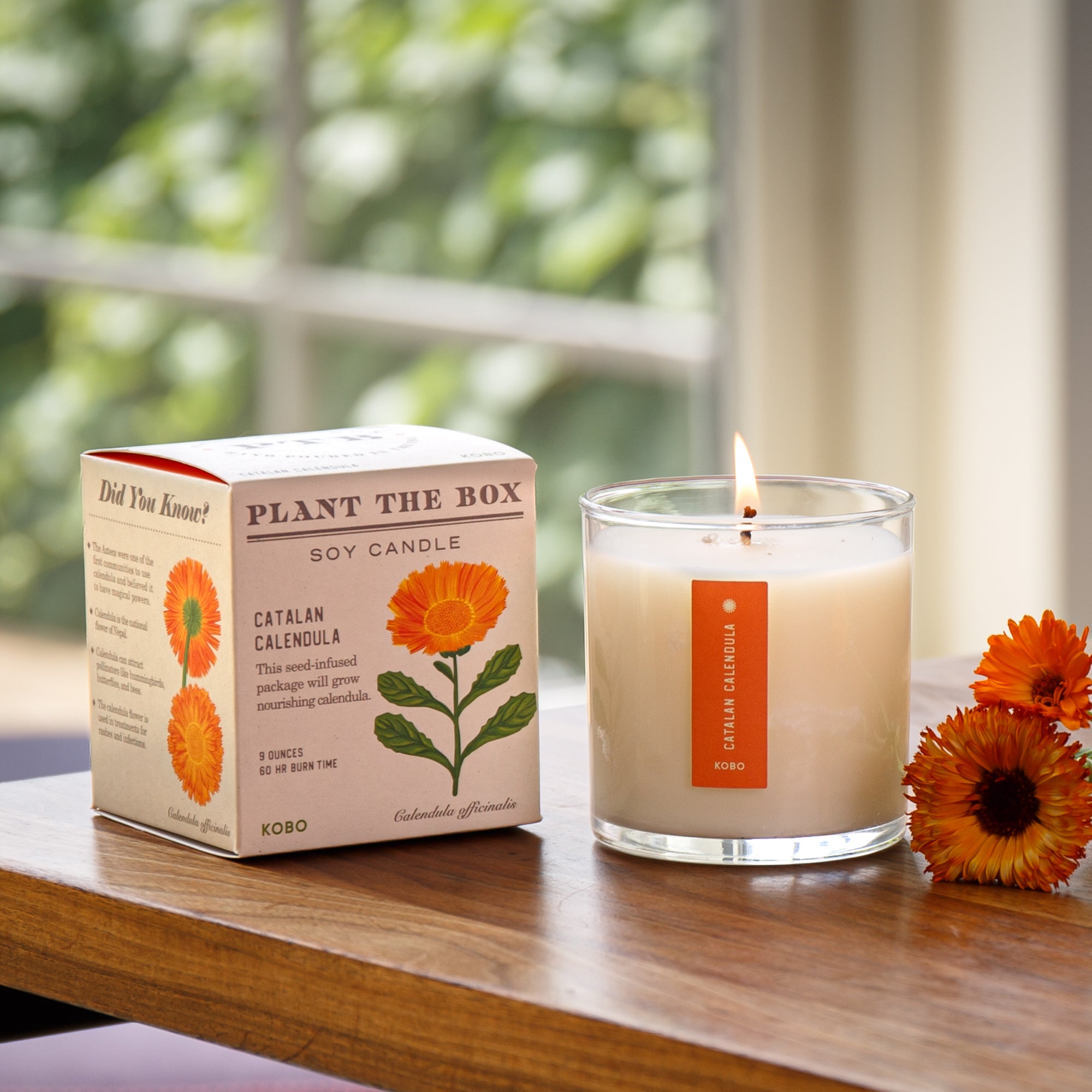 Kobo - Plant the Box Catalan Calendula Candle