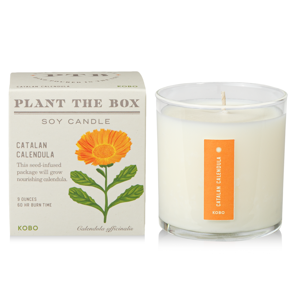 Kobo - Plant the Box Catalan Calendula Candle