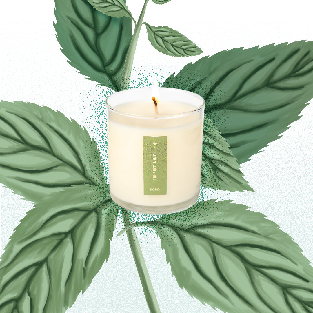 Kobo - Plant the Box Crushed Mint Candle