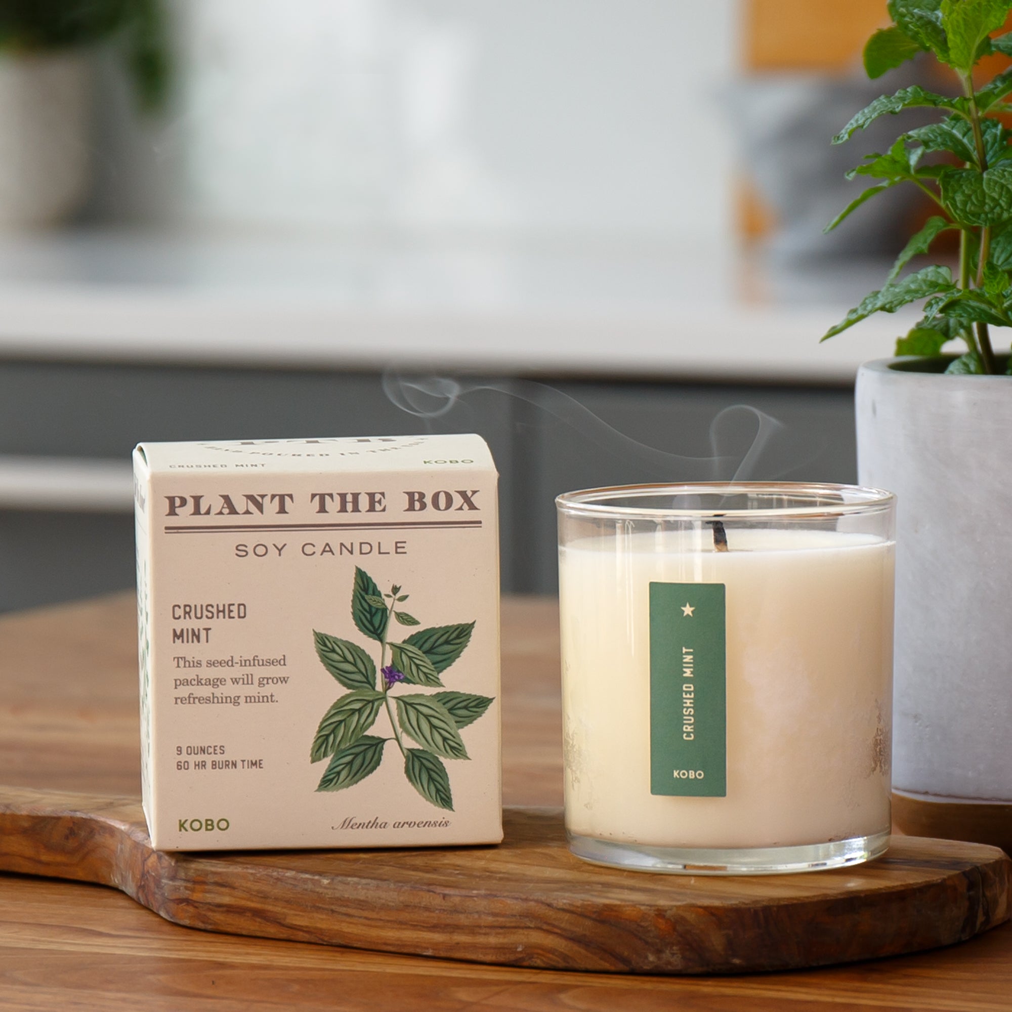 Kobo - Plant the Box Crushed Mint Candle