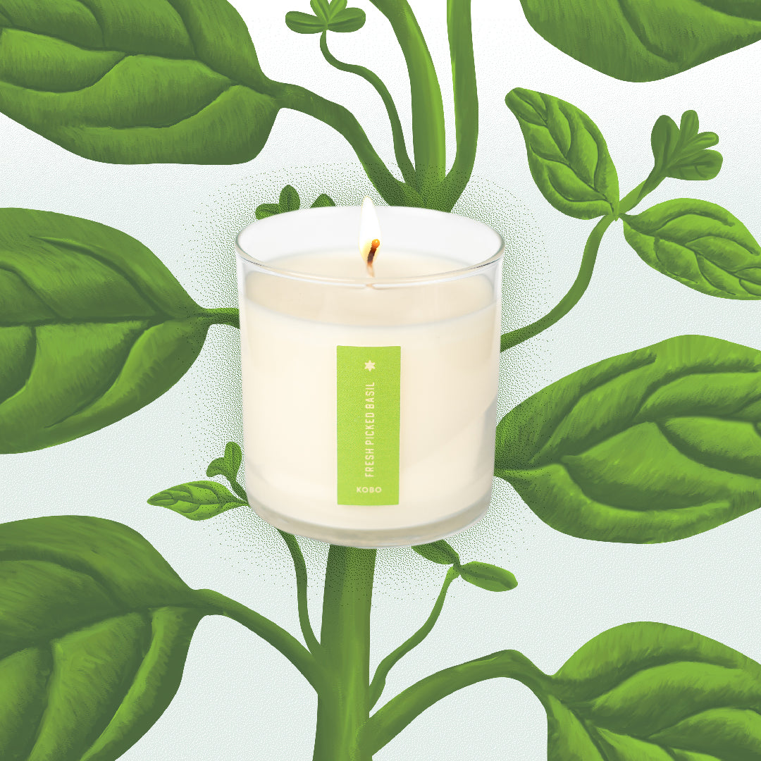 Kobo - Plant the Box Fresh Picked Basil Candle