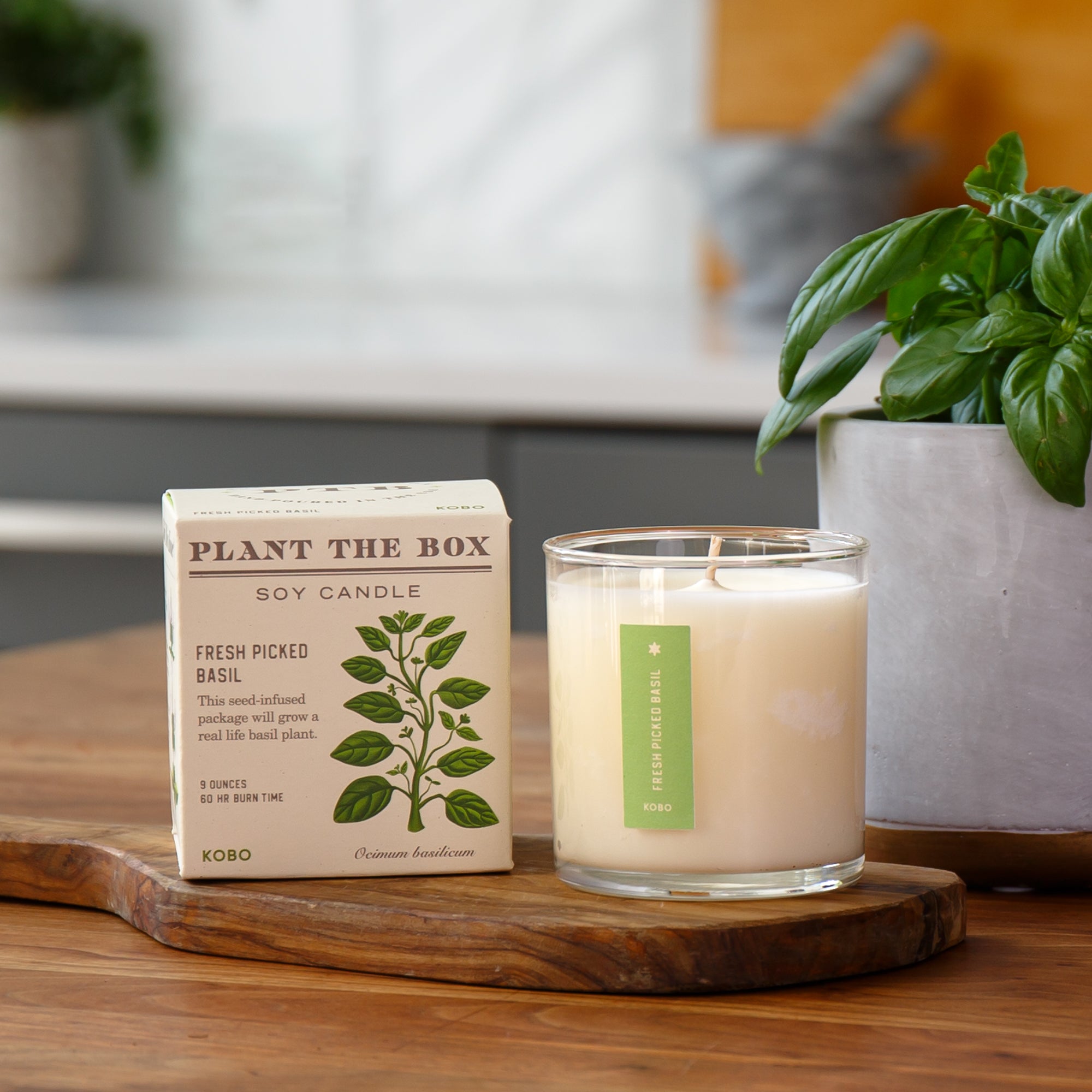 Kobo - Plant the Box Fresh Picked Basil Candle