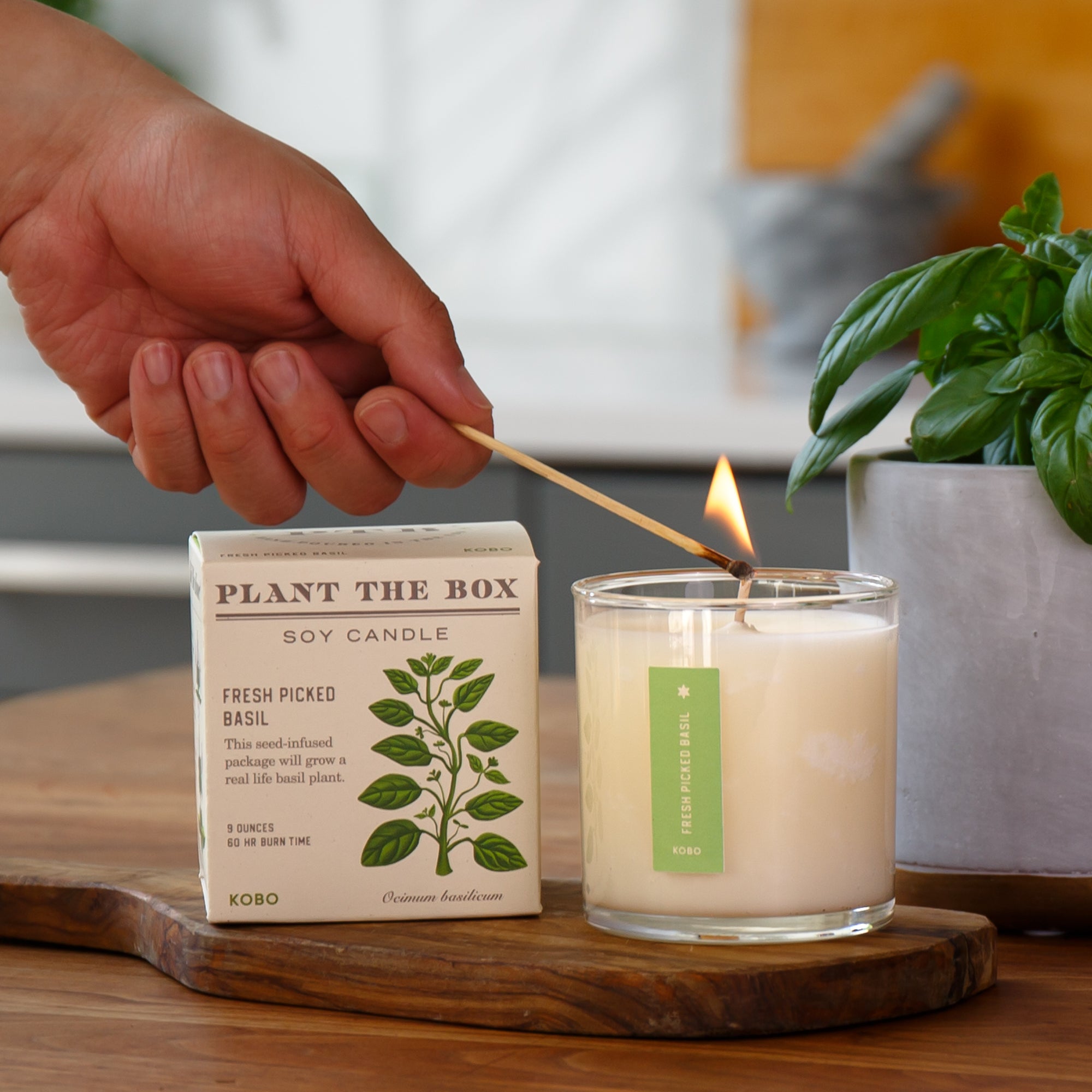 Kobo - Plant the Box Fresh Picked Basil Candle