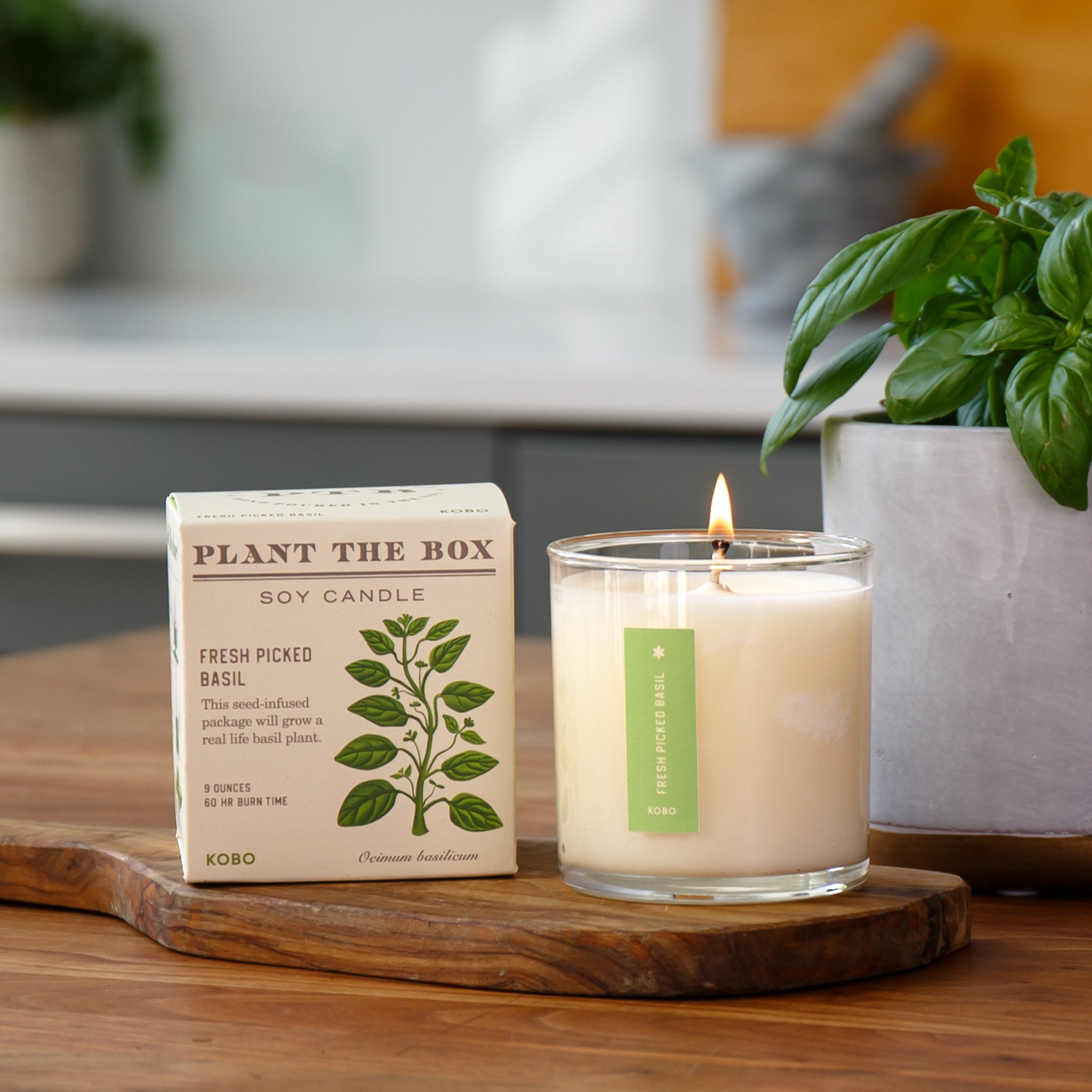 Kobo - Plant the Box Fresh Picked Basil Candle