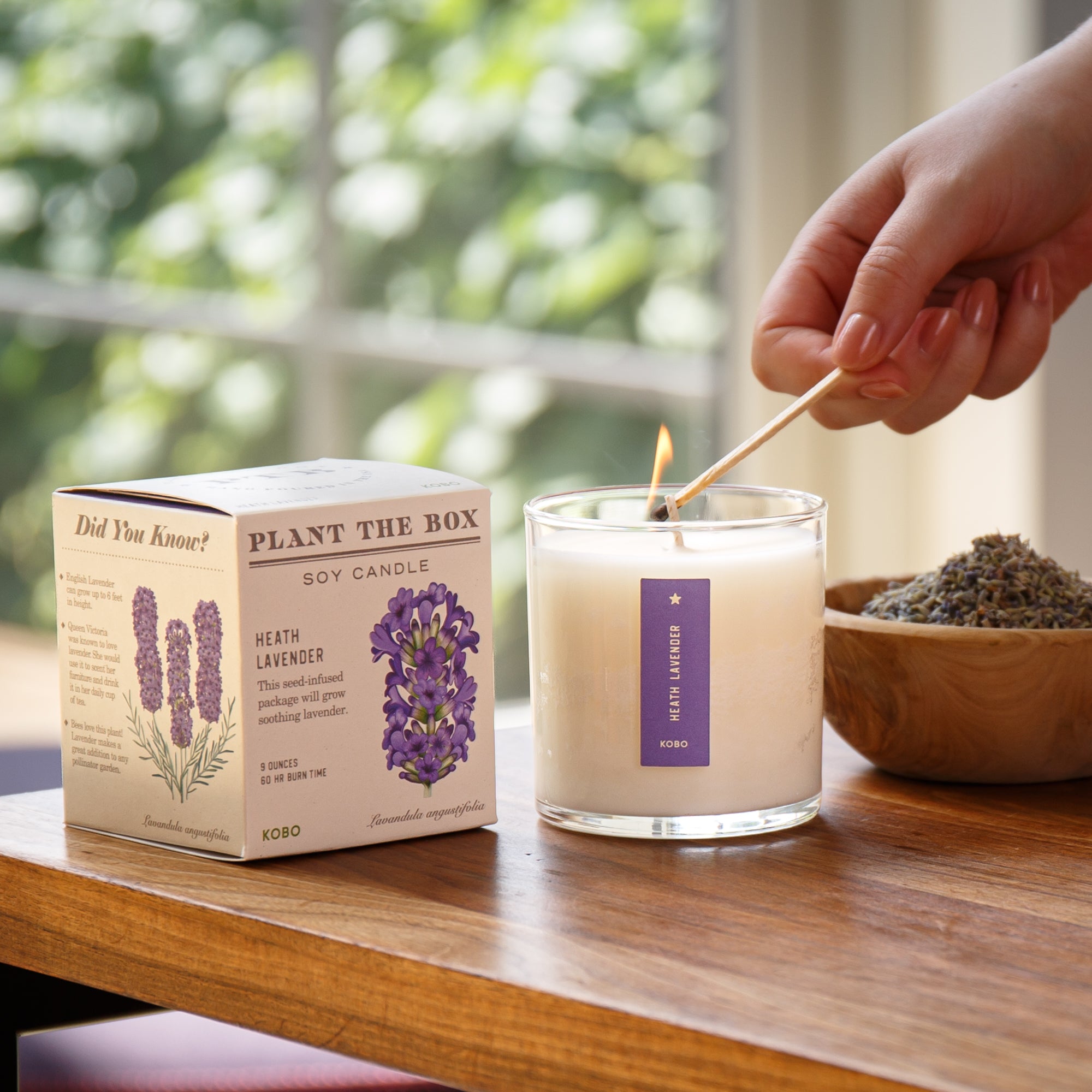 Kobo - Plant the Box Heath Lavender Candle