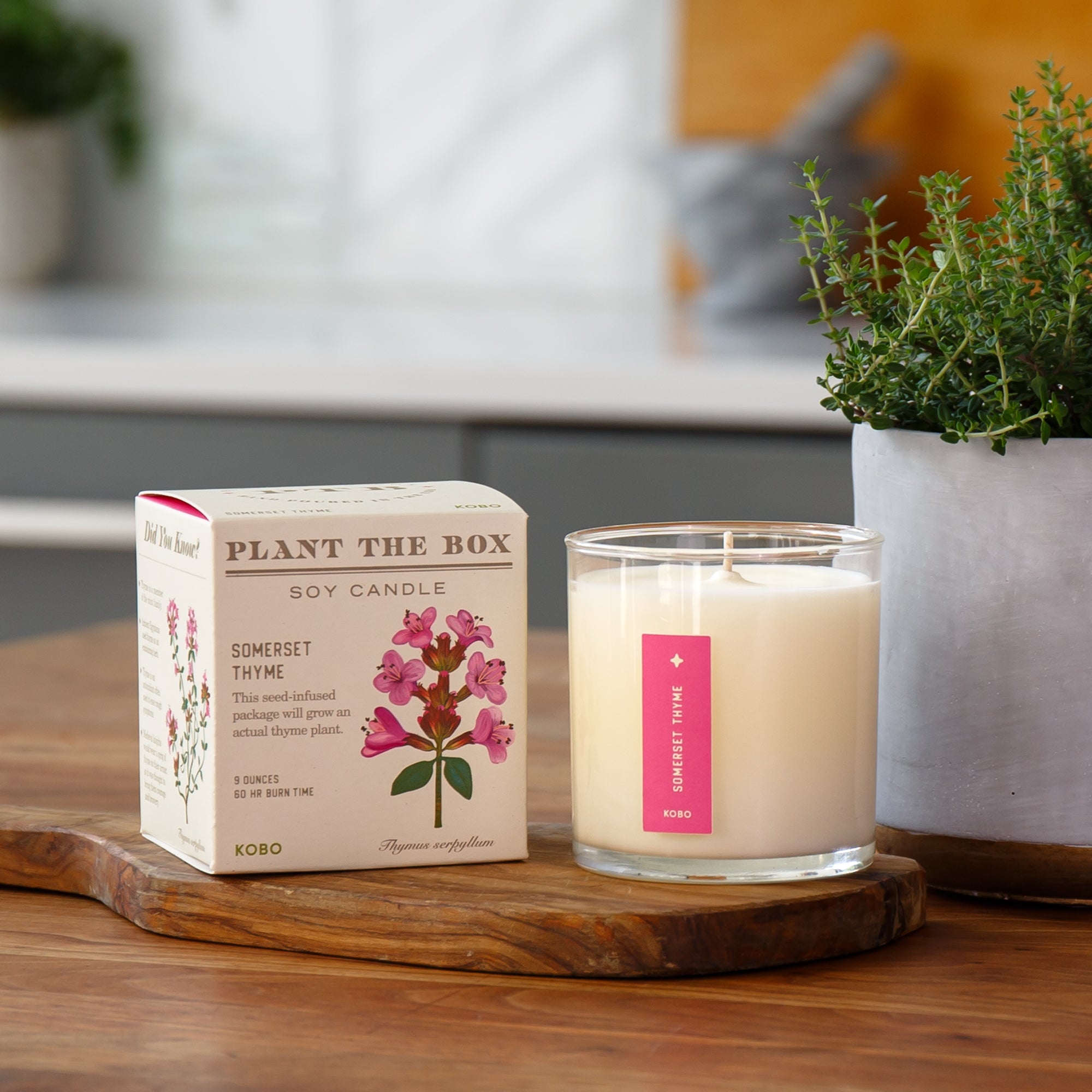 Kobo - Plant the Box Somerset Thyme Candle | Candle Delirium