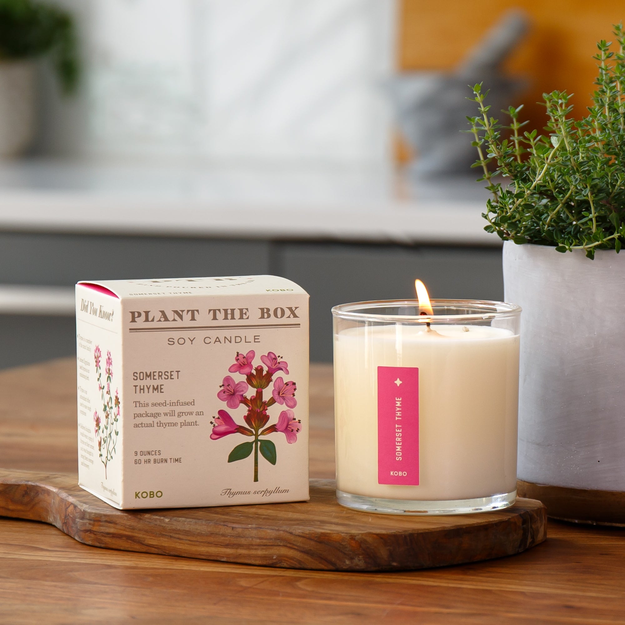 Kobo - Plant the Box Somerset Thyme Candle | Candle Delirium