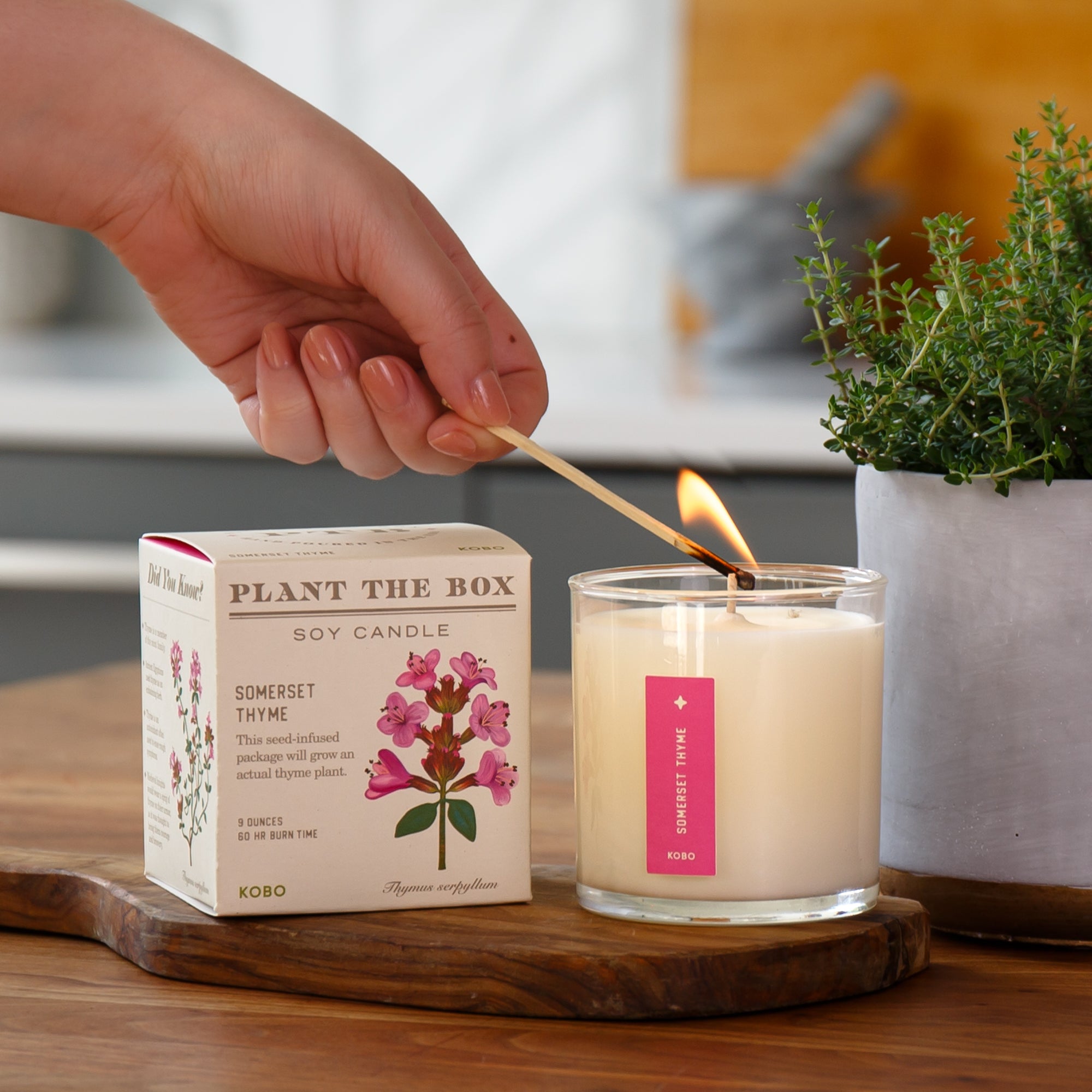 Kobo - Plant the Box Somerset Thyme Candle