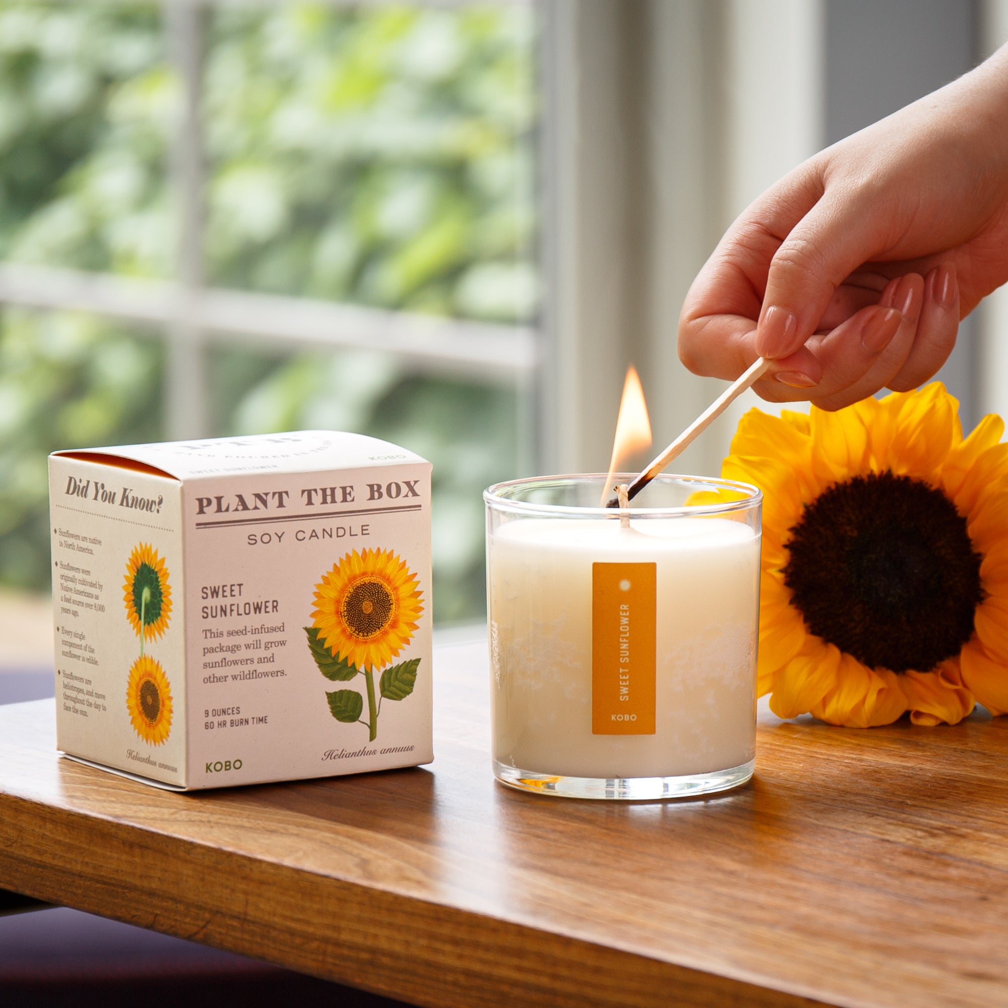 Kobo - Plant the Box Sweet Sunflower Candle