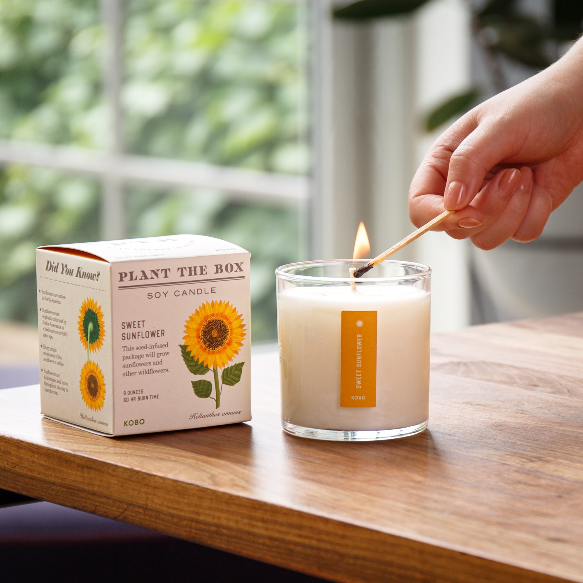 Kobo - Plant the Box Sweet Sunflower Candle