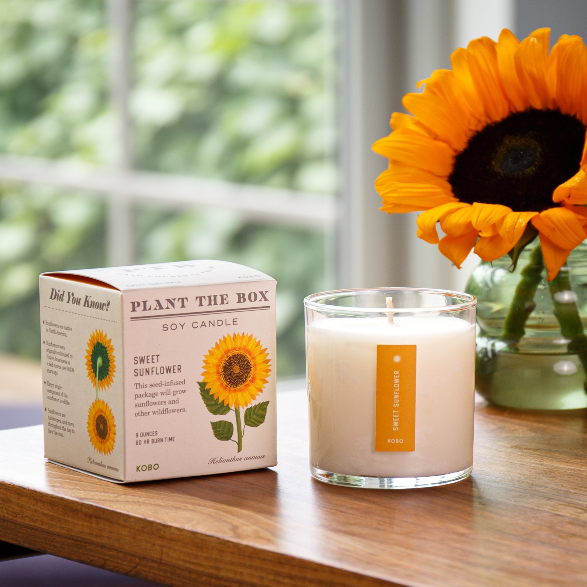 Kobo - Plant the Box Sweet Sunflower Candle
