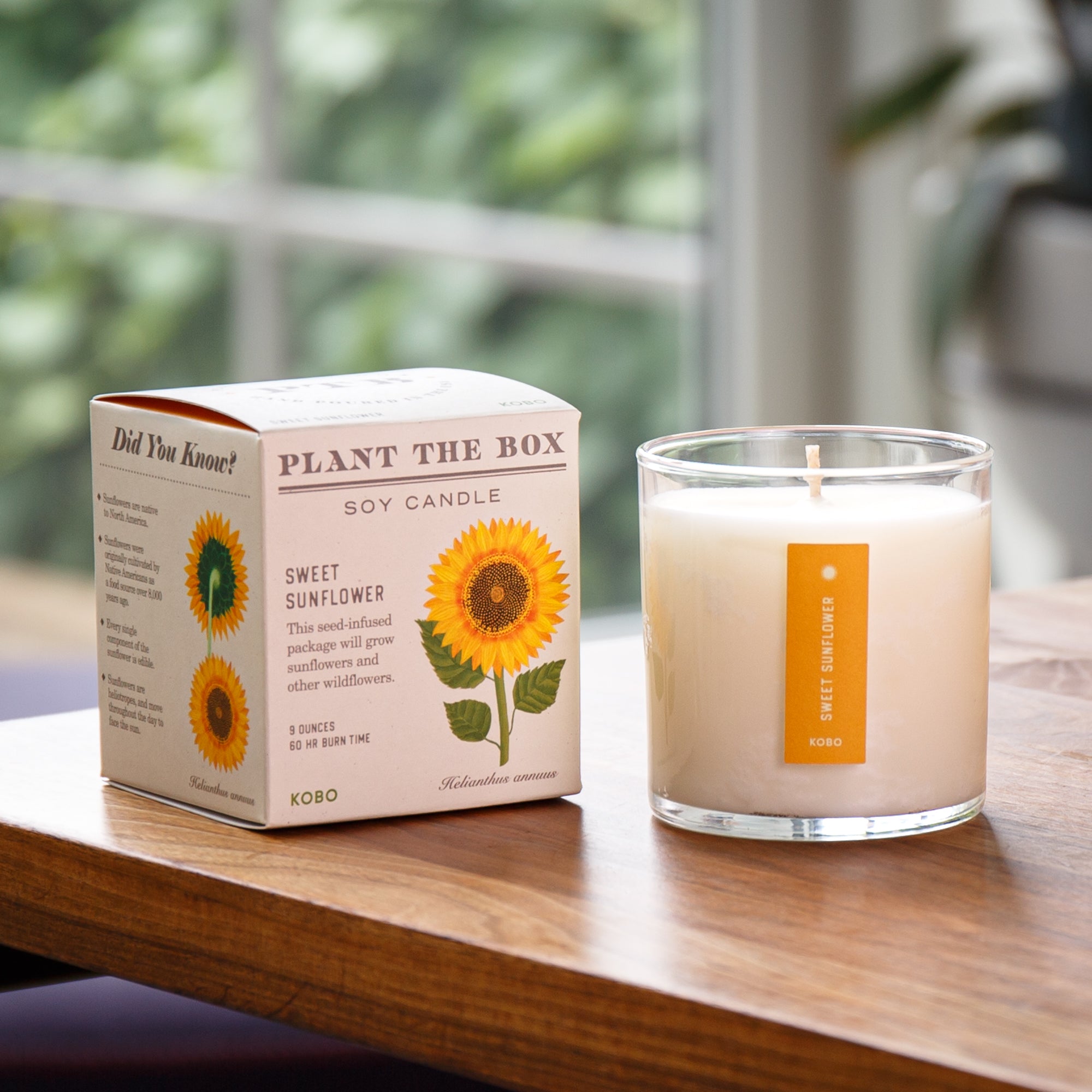 Kobo - Plant the Box Sweet Sunflower Candle