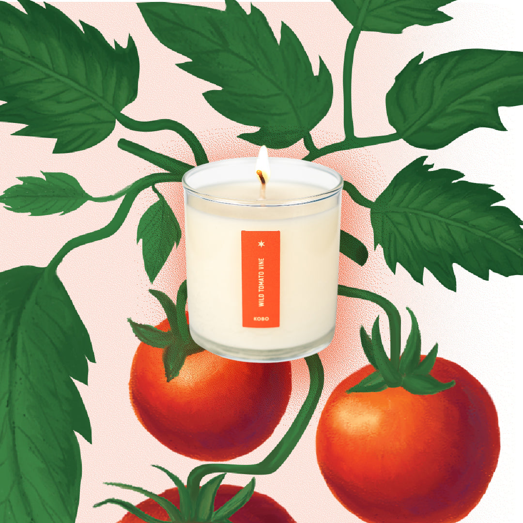 Kobo - Plant the Box Wild Tomato Vine Candle