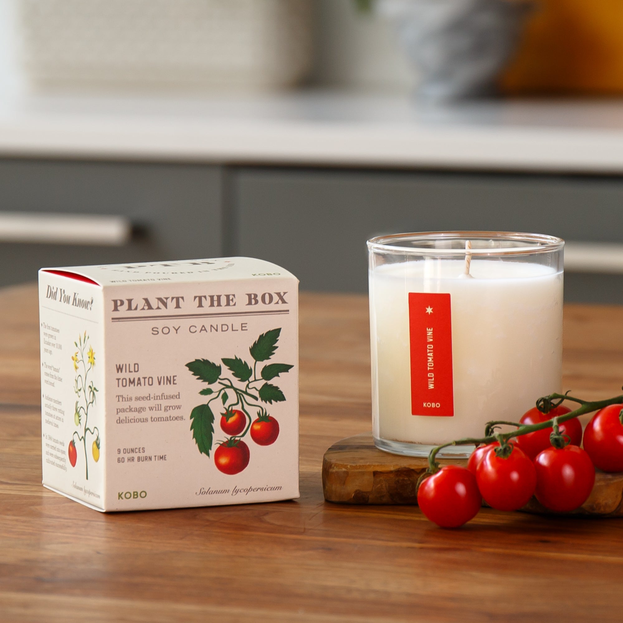 Kobo - Plant the Box Wild Tomato Vine Candle