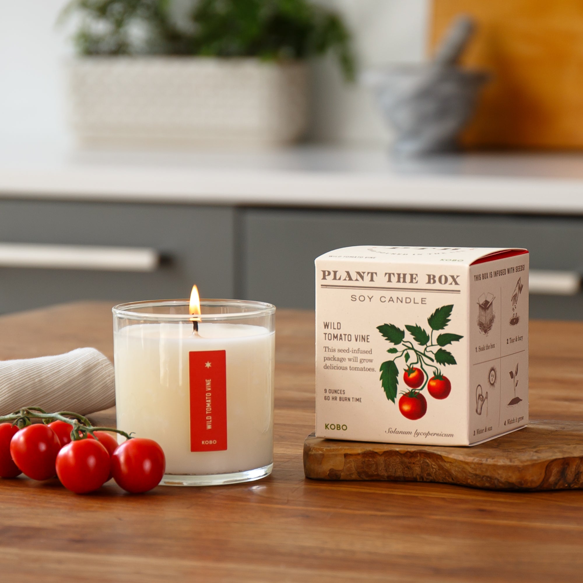 Kobo - Plant the Box Wild Tomato Vine Candle