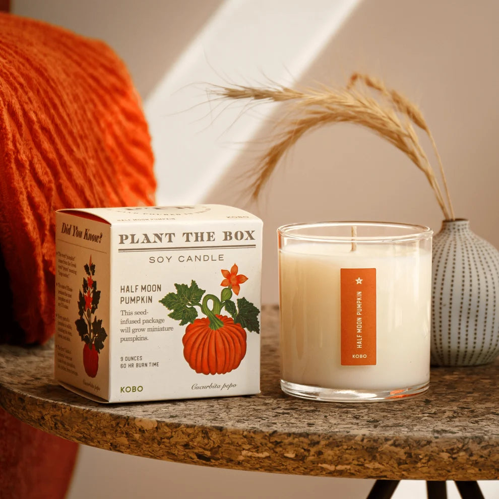 Kobo - Plant the Box Half Moon Pumpkin Candle