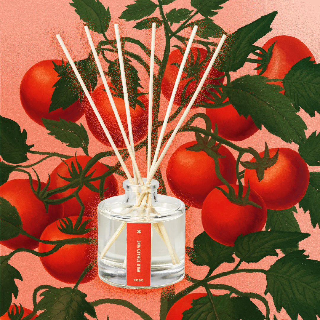 Kobo - Plant the Box Wild Tomato Vine Diffuser