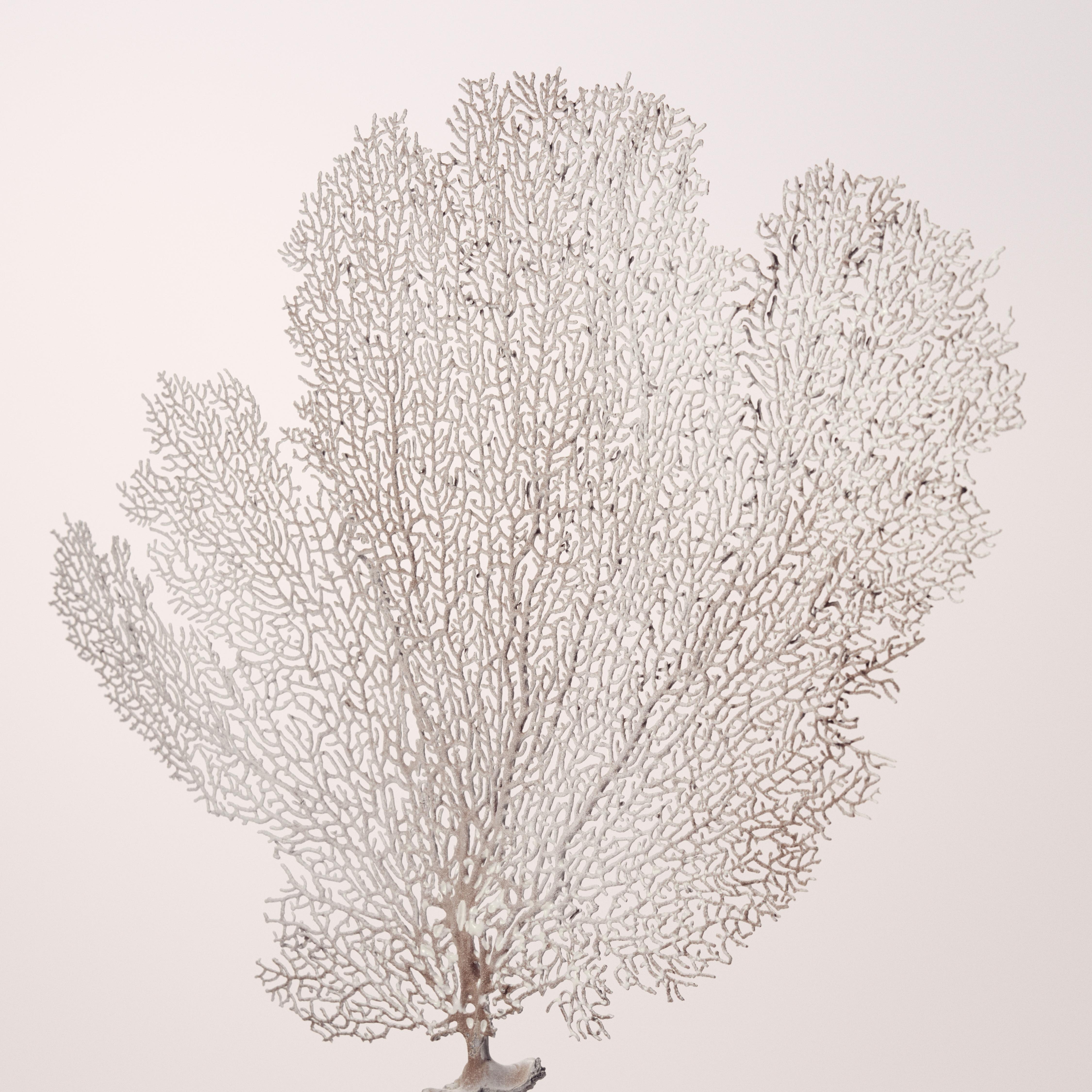 Nest - Voyages Cerulean Coast Diffuser