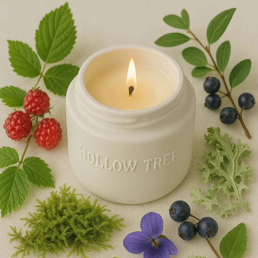 Hollow Tree - Coastal Wolf (Wild Raspberry) Candle