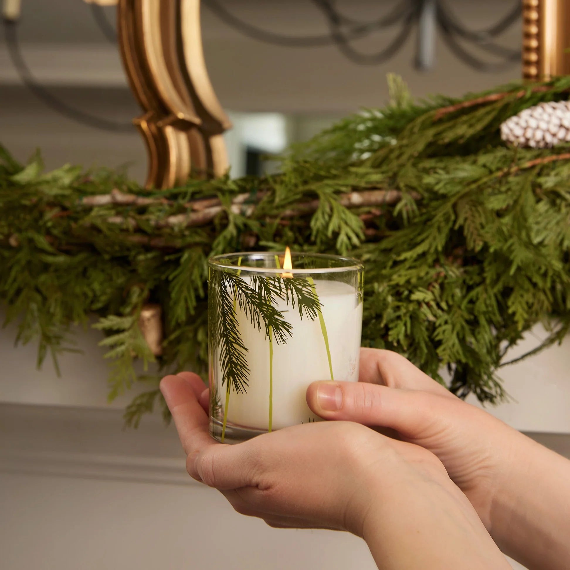 Thymes - Frasier Fir Candle (Pine Needle Glass) 6.5oz.