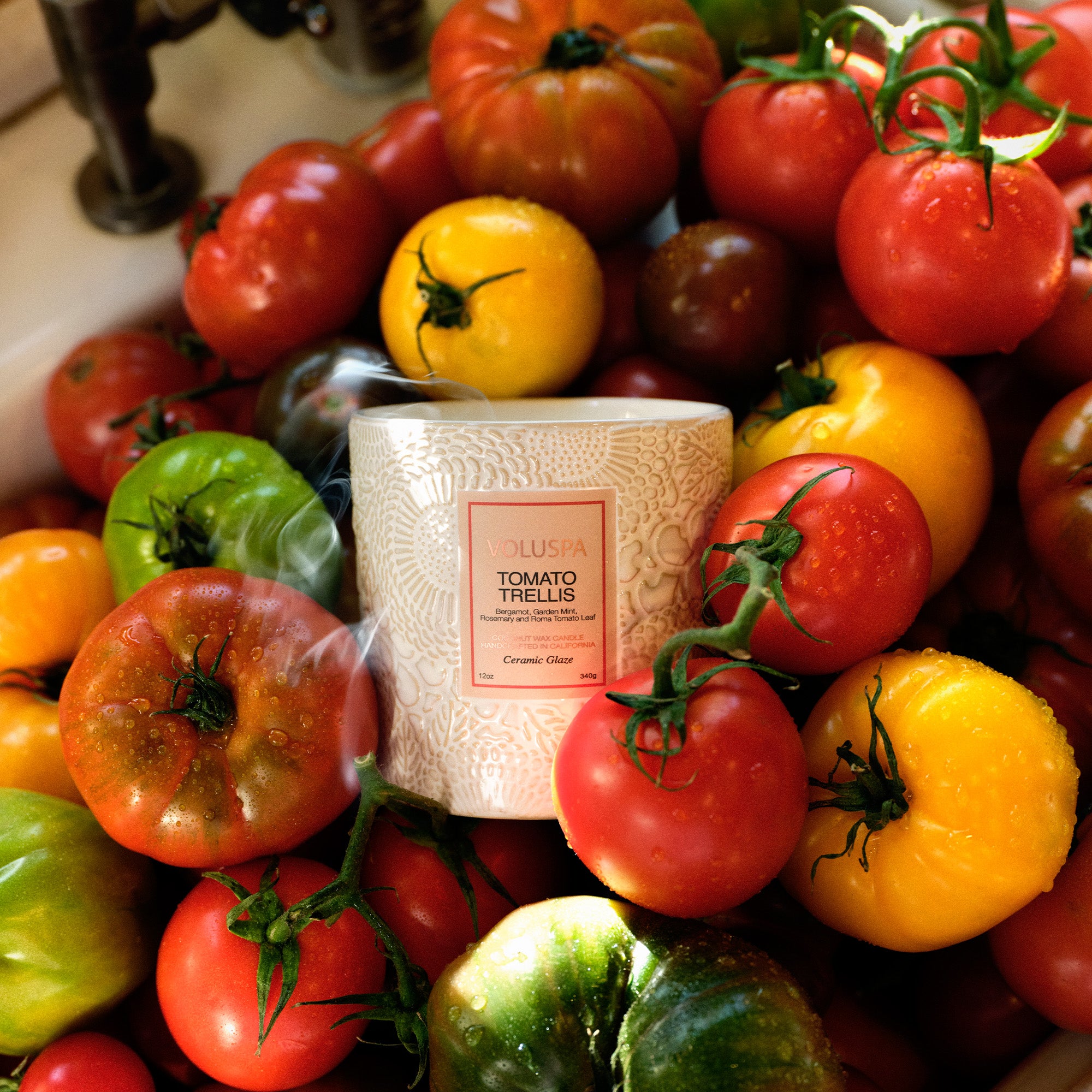 Voluspa - Tomato Trellis Ceramic Luxe Classic Candle