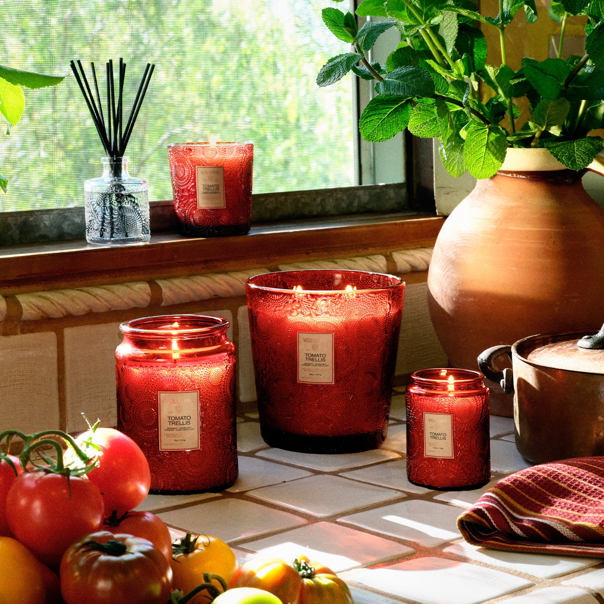 Voluspa - Tomato Trellis 5 Wick Hearth Candle