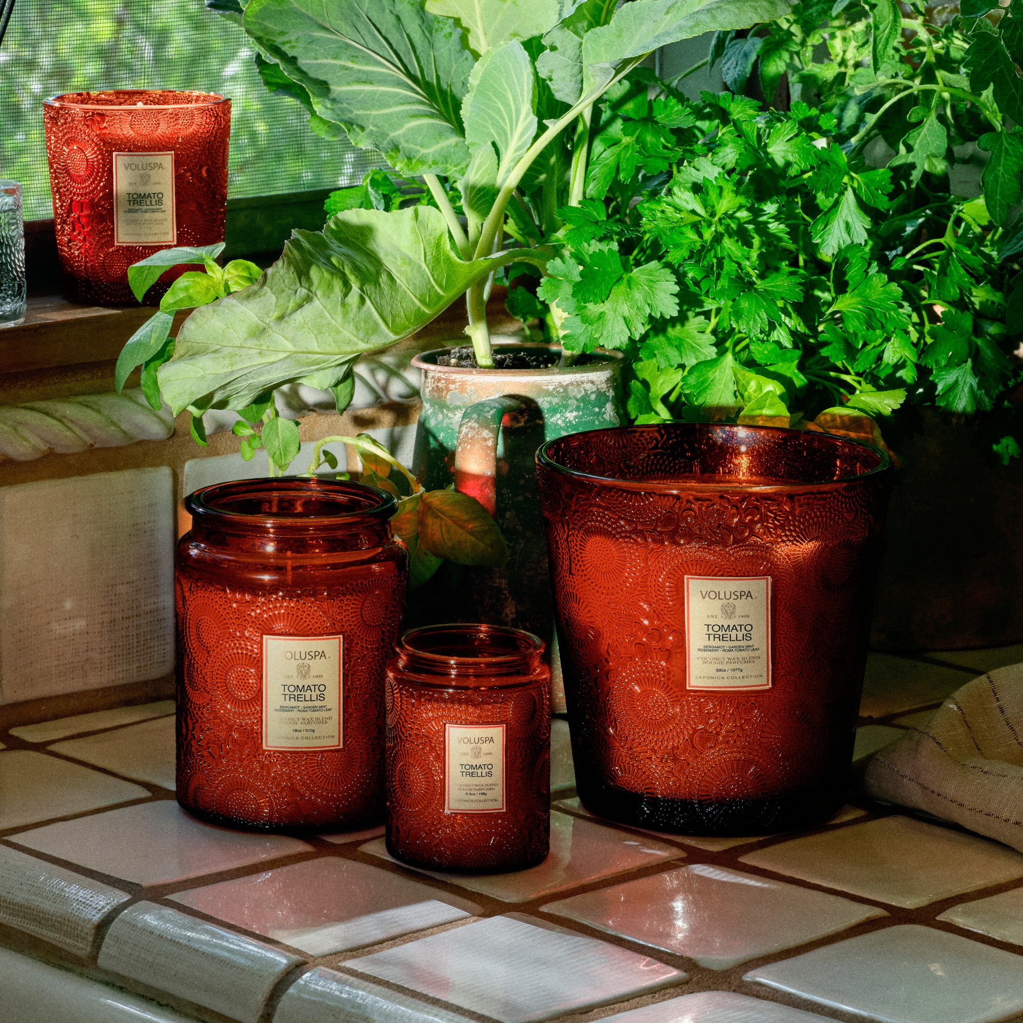 Voluspa - Tomato Trellis 5 Wick Hearth Candle