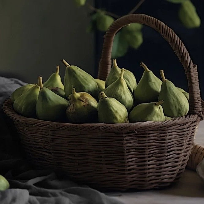 Adlan - Second Fiddle Petite Candle