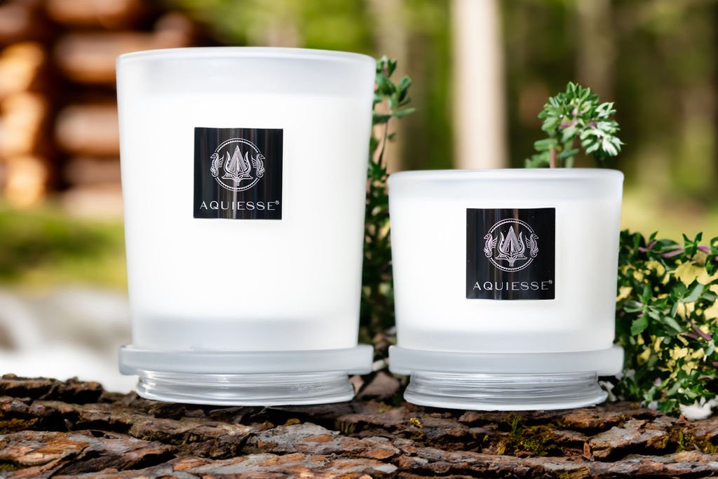 Aquiesse - Winter Currant Medium Candle