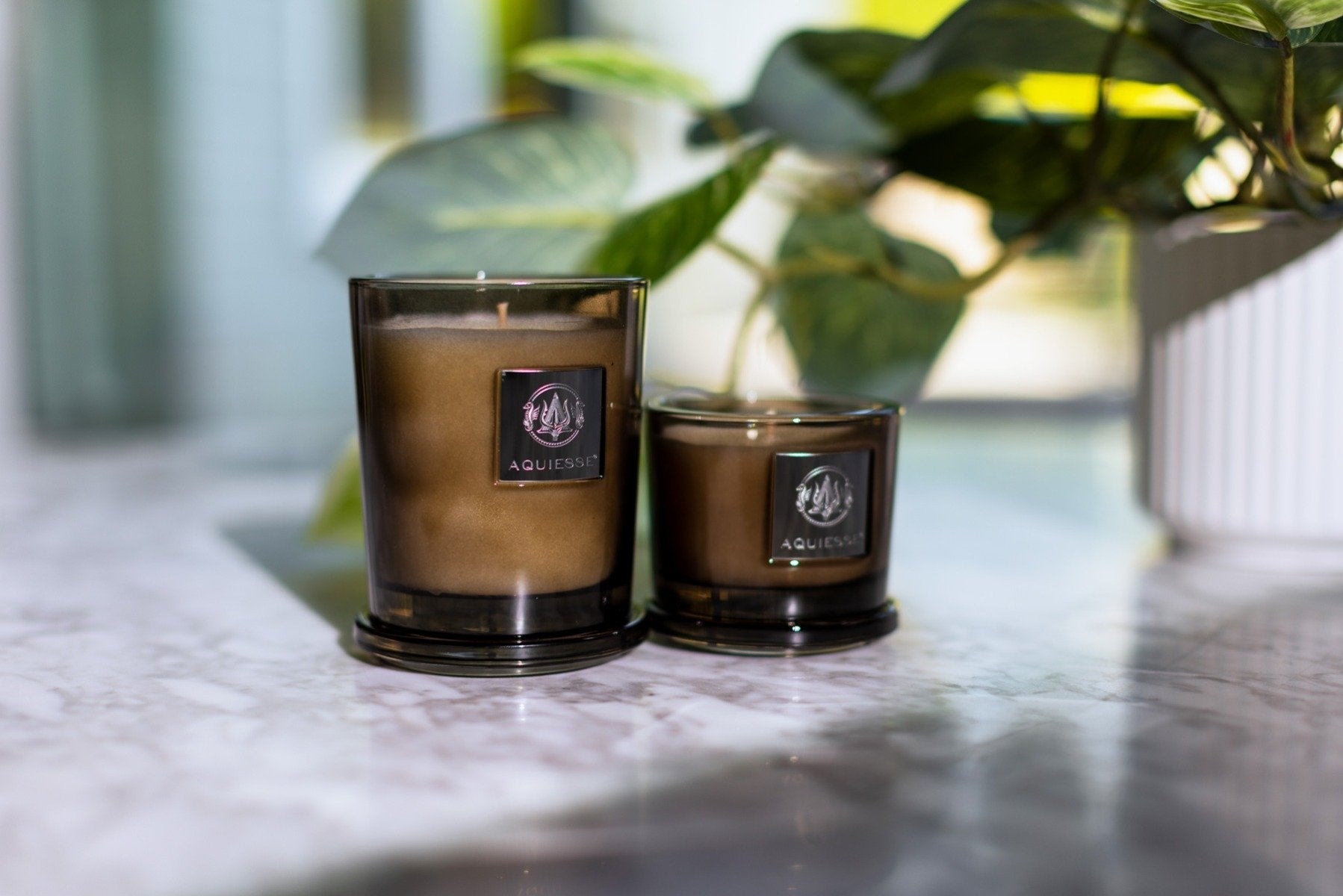 Aquiesse - Pomegranate Sage Candle