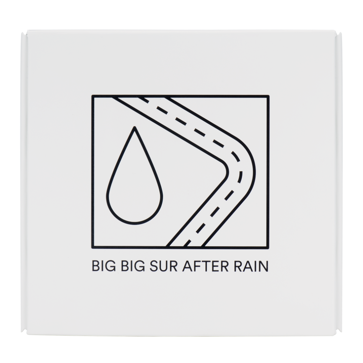 DS & Durga - Big Sur After Rain 3 Wick Candle