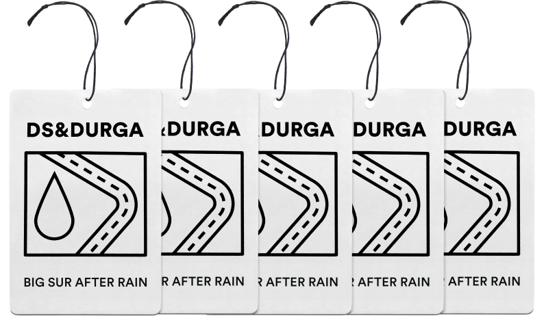 DS & Durga - Big Sur After Rain Auto Set (5 Auto Fresheners)