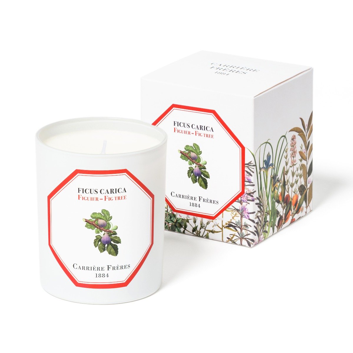 Carriere Freres - Fig Tree (Ficus Carica) Candle