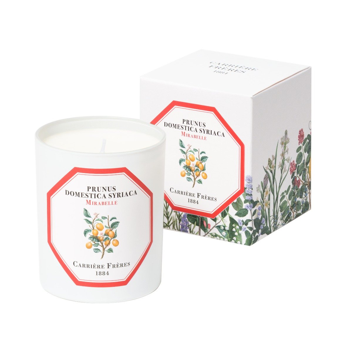 Carriere Freres - Mirabelle Plum (Prunus Domestica Syrica) Candle