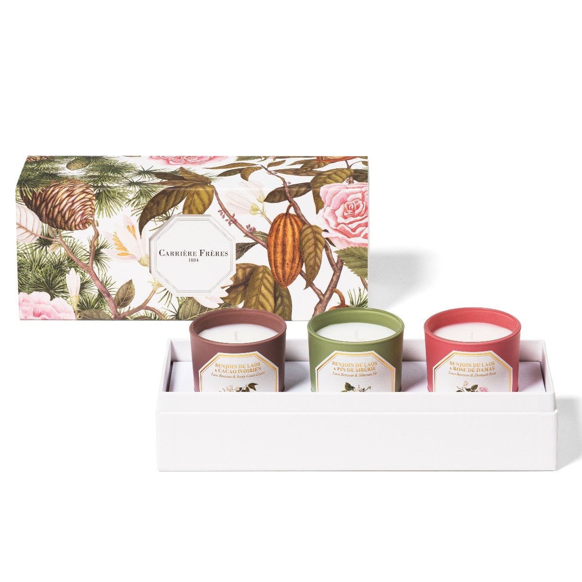 Carriere Freres -  Winter Botanical Set
