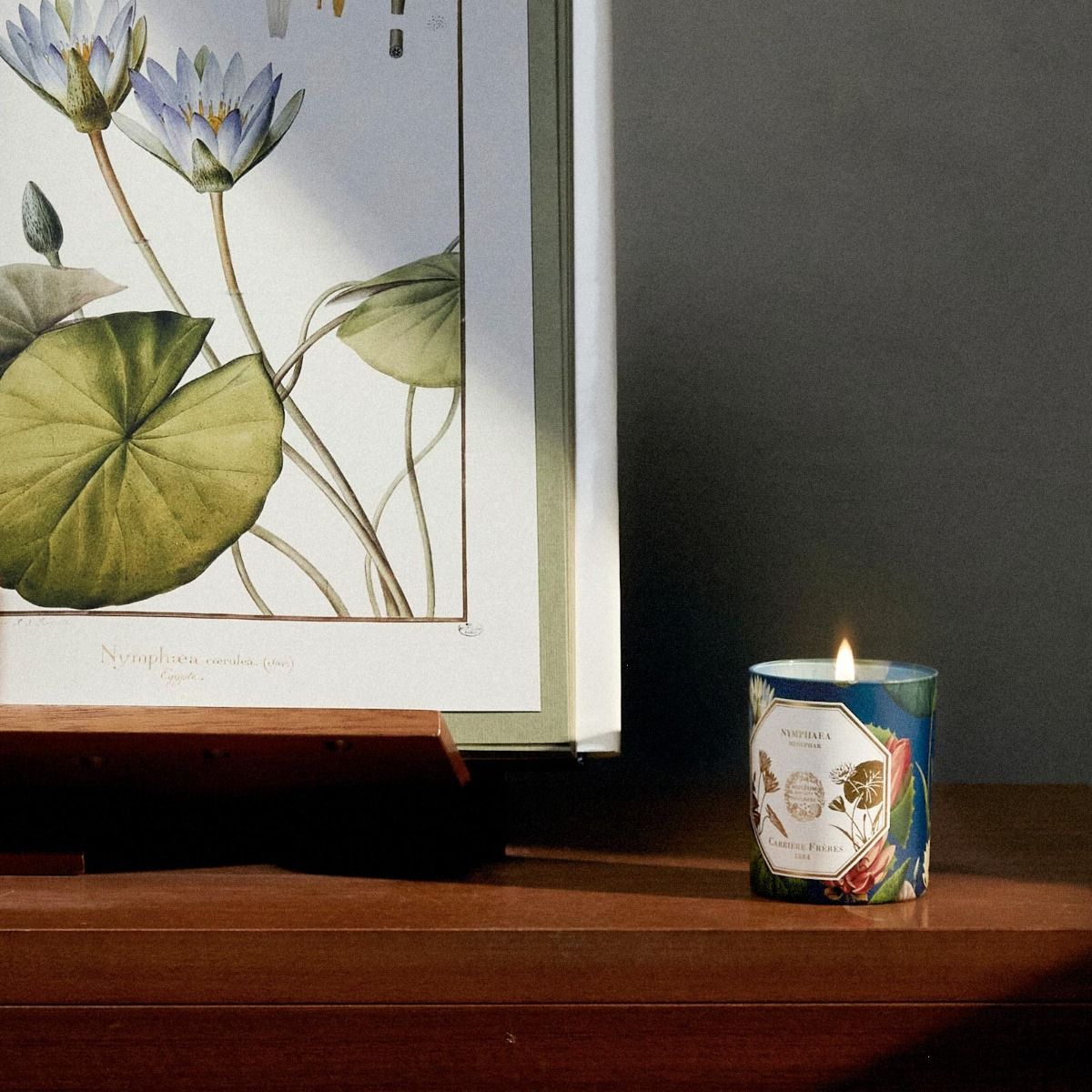 Carriere Freres - Waterlily (Nymphaea) Candle