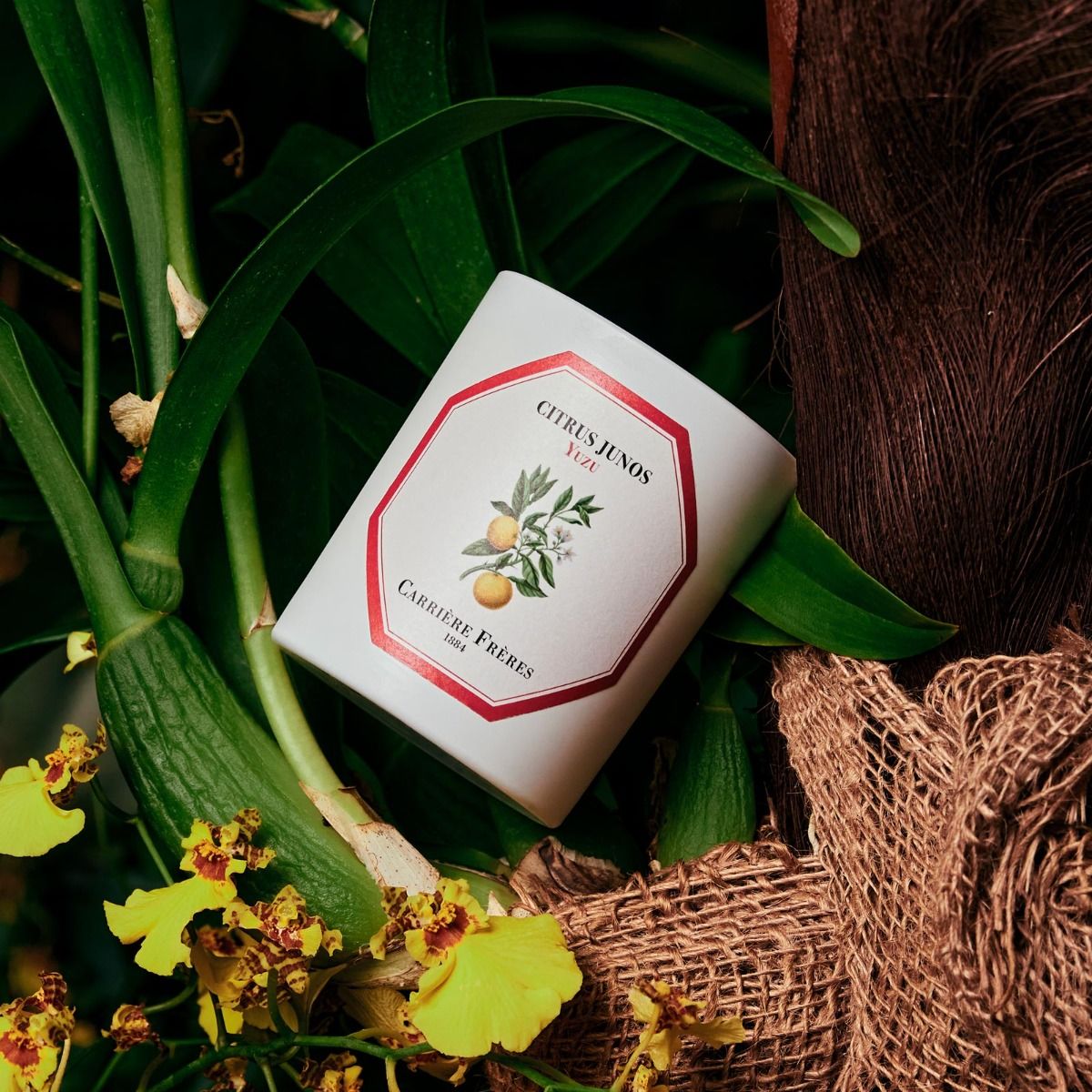 Carriere Freres - Yuzu (Citrus Junos) Candle